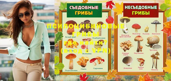 ALPHA PVP Сясьстрой